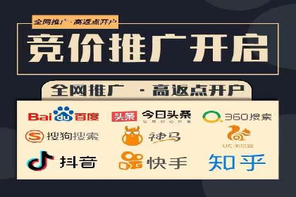 行业领先企业的SEM广告策略与效果分析